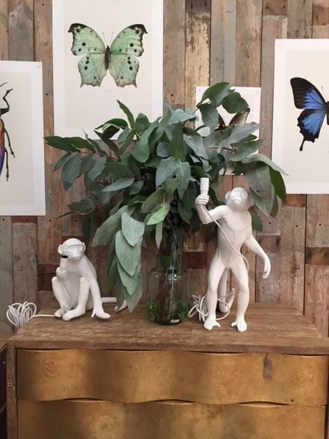 Настольная лампа Мавпа H54